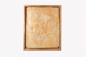 Image description is not available for 2011.3.1